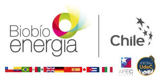 VIII Congreso Internacional Biobío Energía