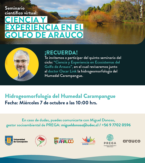 Seminario científico virtual: Ciencia y Experiencia en el Golfo de Arauco
