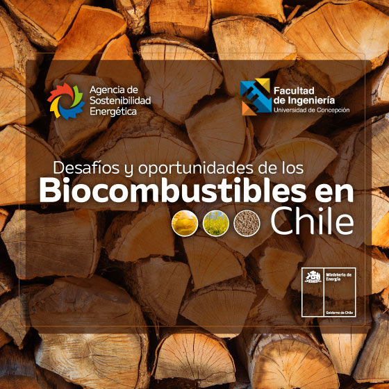 Desafíos y oportunidades de los Biocombustibles en Chile