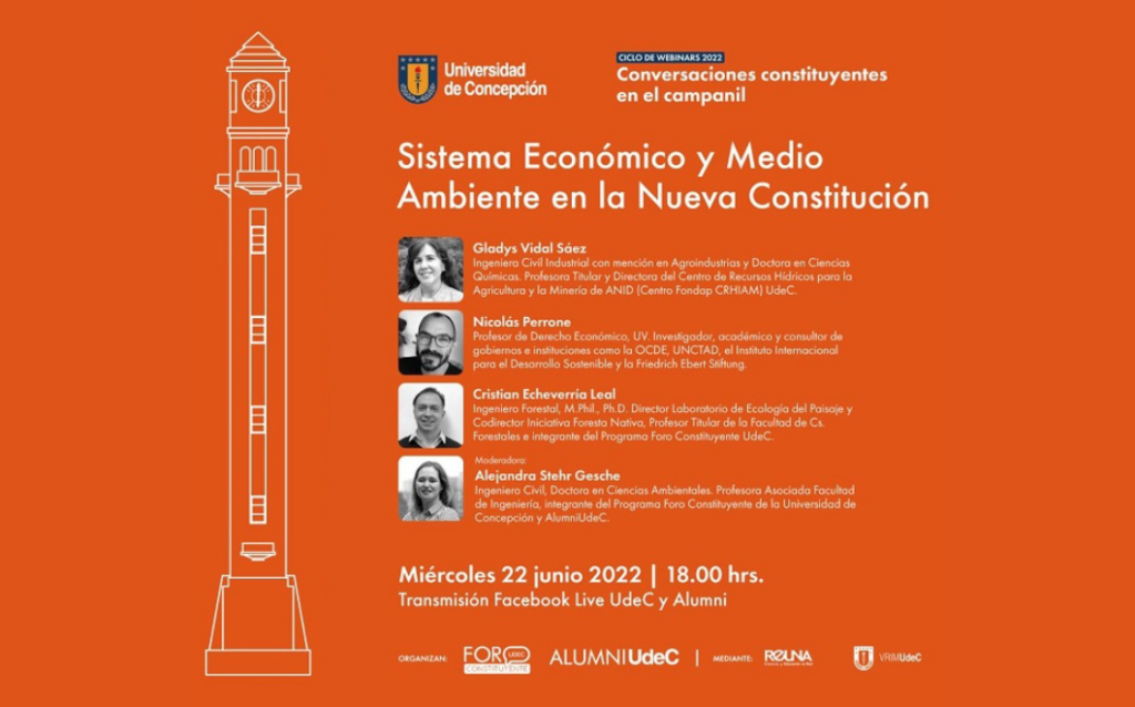Sistema Económico y Medio Ambiente en la Nueva Constitución
