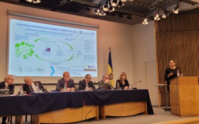 Unidad de Hidrógeno y Sostenibilidad del IIT presenta el potencial del hidrógeno en la región del Biobío ante el Senado