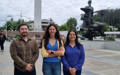 Docente de Ingeniería UdeC se adjudicó Fondequip Mediano 2025 para análisis químico