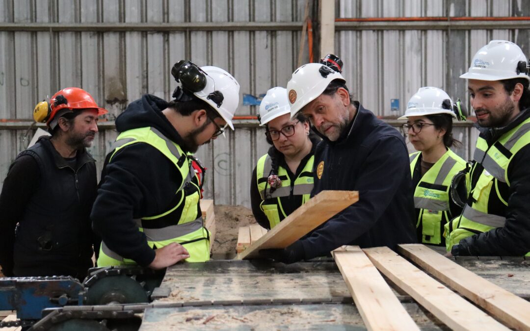 C4i, a través de PATI Visión Computacional, inicia capacitaciones para análisis de madera