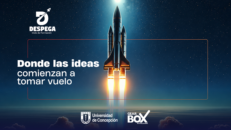 Despega 2026 cierra anticipadamente sus inscripciones tras superar las 200 postulaciones